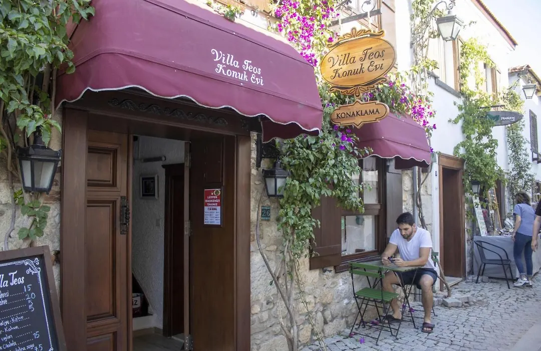Villa Teos Otel-1