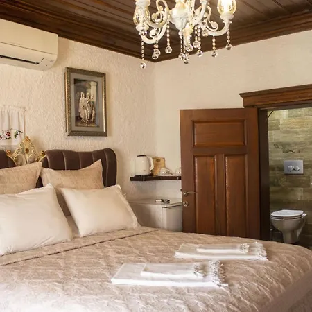 Villa Teos Otel-2